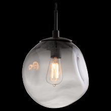 Hammerton LAB0062-01-BS-C-C01-E2 - Aster Pendant-Incandescent