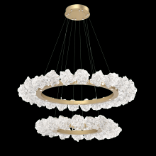 Hammerton CHB0059-2B-CS-BC-CA1-L1 - Two Tier Blossom Ring Chandelier - 2B-Classic Silver