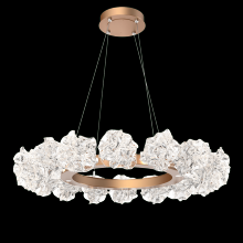 Hammerton CHB0059-36-GB-BC-CA1-L1 - Blossom Radial Ring Chandelier - 36