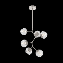 Hammerton CHB0095-VA-BS-GC-001-L1 - Luna Modern Vine Chandelier