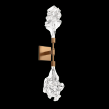 Hammerton IDB0059-02-NB-BC-L3 - Blossom Double Sconce-Novel Brass-Blossom Clear Blownglass