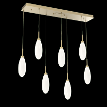 Hammerton PLB0071-07-GB-WL-C01-L3 - Fiori Linear 7pc Multi-Pendant