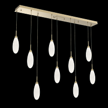 Hammerton PLB0071-09-GB-WL-C01-L3 - Fiori Linear 9pc Multi-Pendant