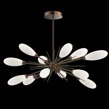 Hammerton PLB0071-0A-FB-WL-001-L3 - Fiori Oval Starburst Chandelier 50"