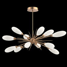 Hammerton PLB0071-0A-NB-WL-001-L3 - Fiori Oval Starburst Chandelier 50"