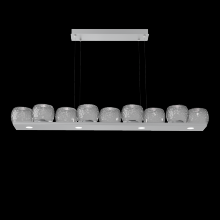 Hammerton PLB0091-0C-CS-S-CA1-L3 - Vessel Linear - 59-Inch