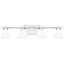 Quoizel DNL8629PK - Daniels Bath Light