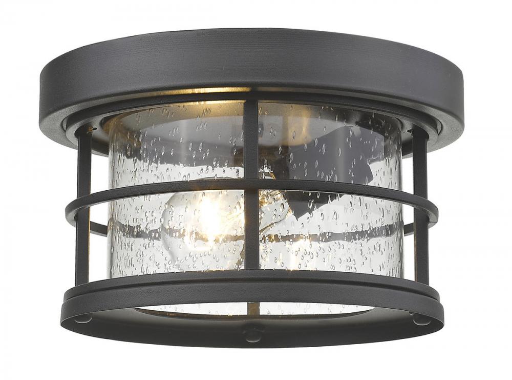 1 Light Outdoor Flush Mount