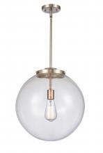 Innovations Lighting 221-1S-SN-G202-16-LED - Beacon - 1 Light - 16 inch - Brushed Satin Nickel - Cord hung - Pendant