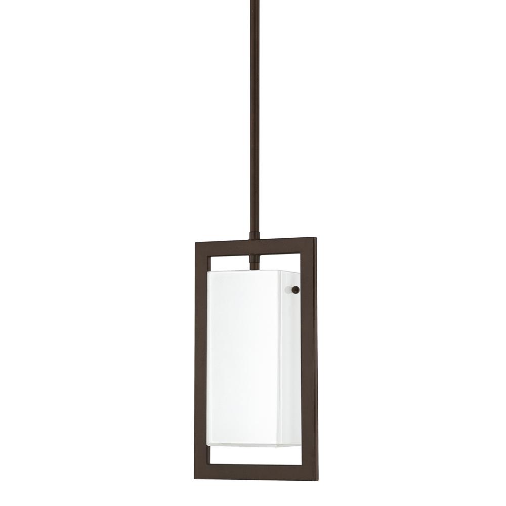 1 Light Mini-Pendant