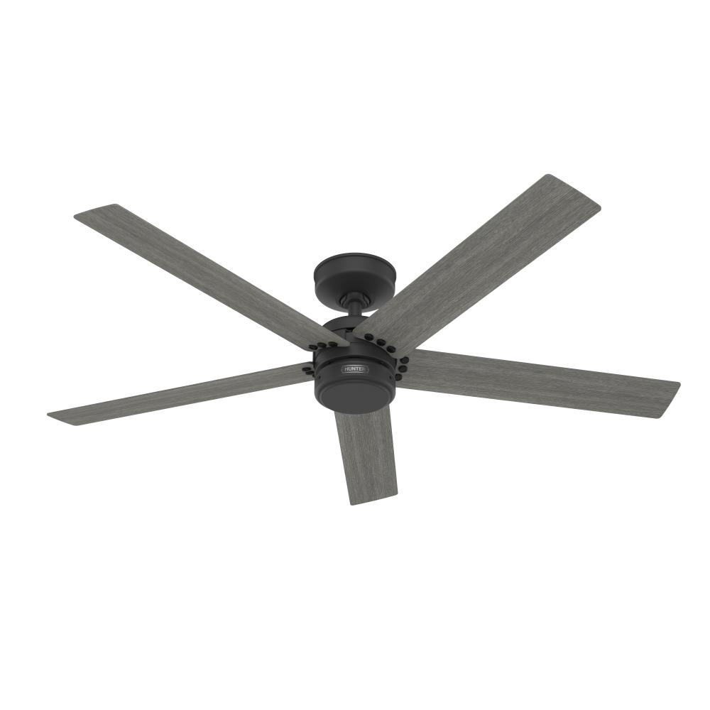 Hunter 52 inch Burton Matte Black Damp Rated Ceiling Fan and Wall Control