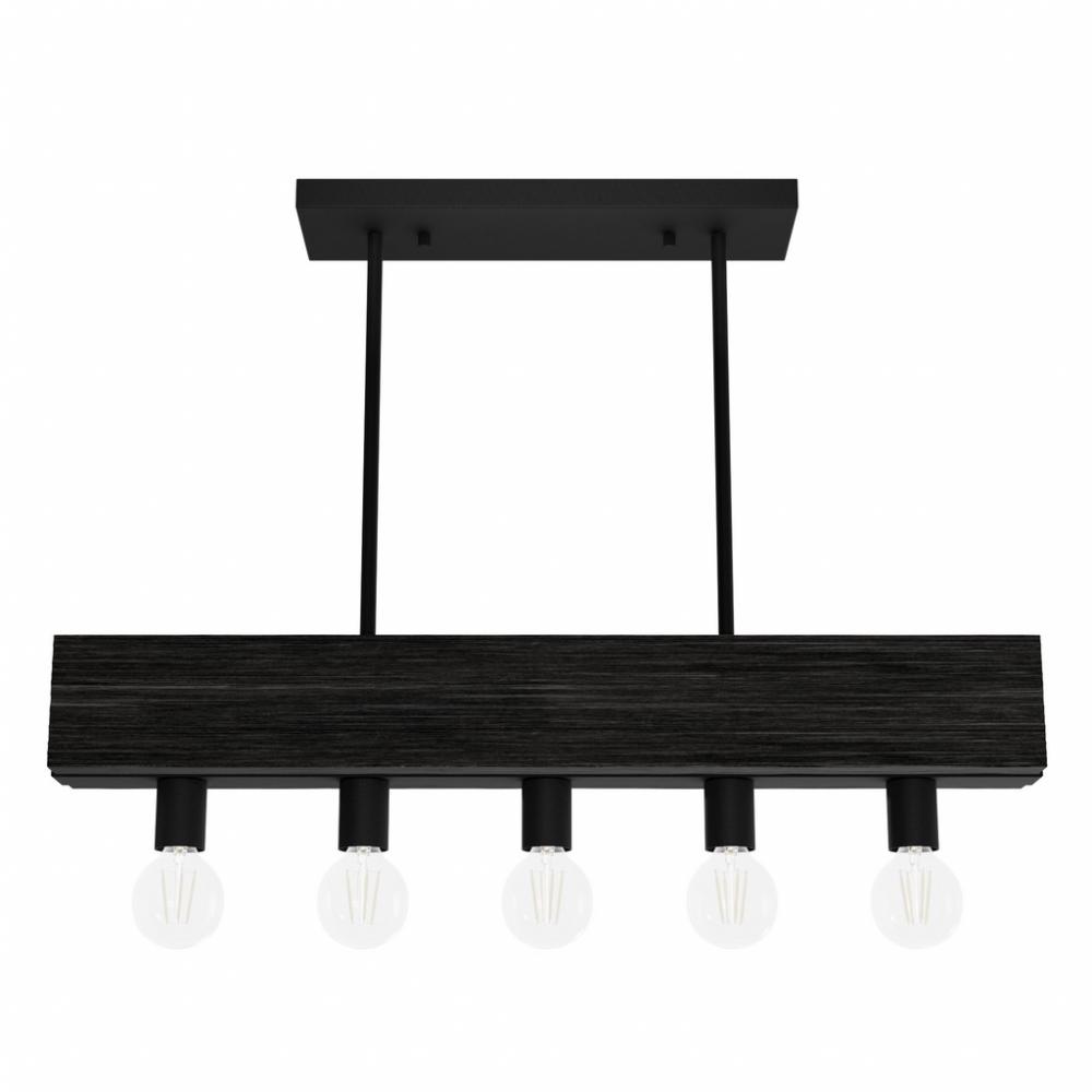 Hunter Donelson Natural Black Iron and Dark Ash 5 Light Chandelier Ceiling Light Fixture