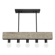 Hunter 13054 - Hunter Donelson Rustic Iron and Barnwood 5 Light Chandelier Ceiling Light Fixture