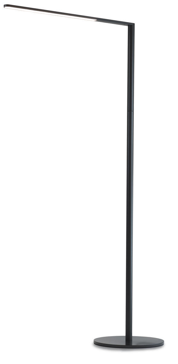 Lady7 Floor Lamp (Metallic Black)