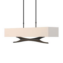 Hubbardton Forge 137655-SKT-LONG-10-SE4298 - Moreau Pendant