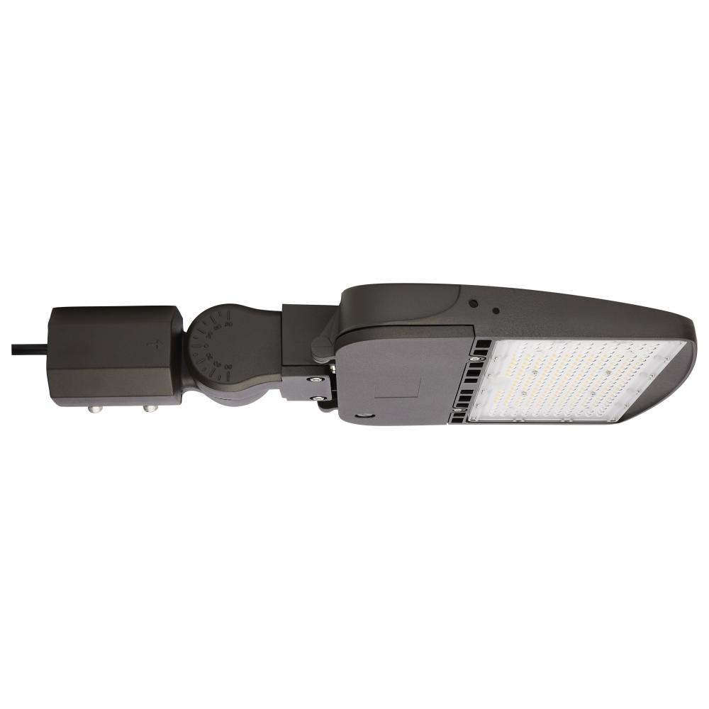 LED Area Light Type V; 100W; Bronze Finish; 5000K; 277-480V