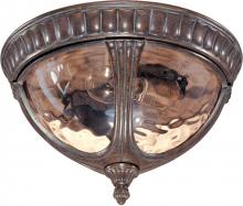 Nuvo 60/2007 - 2-Light Flush Mount Outdoor Ceiling Light in Fruitwood Finish and Amber Water Glass