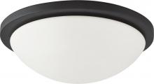 Nuvo 60/2946 - 2-Light Dome Flush Mount Lighting Fixture in Textured Black Finish with White Glass and (2) 13W GU24