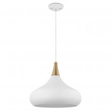 Nuvo 60/7518 - Phoenix; 1 Light; Large Pendant; Matte White with Burnished Brass