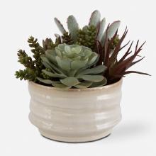 Uttermost 60209 - Mesa Succulent Accent