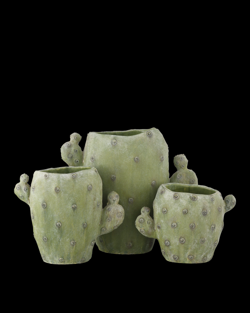 Cactus Vase Set of 3