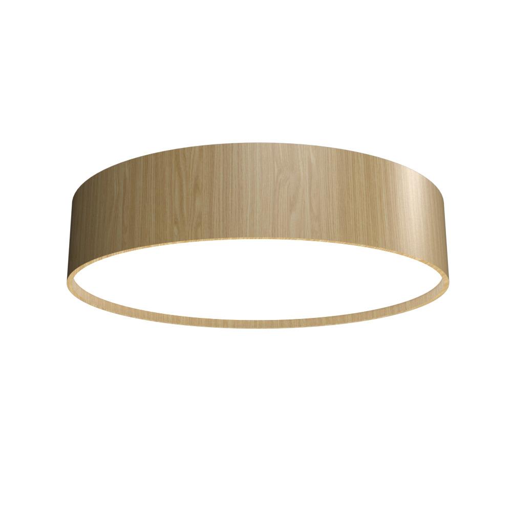 Cylindrical Accord Ceiling Mounted 5014 LED